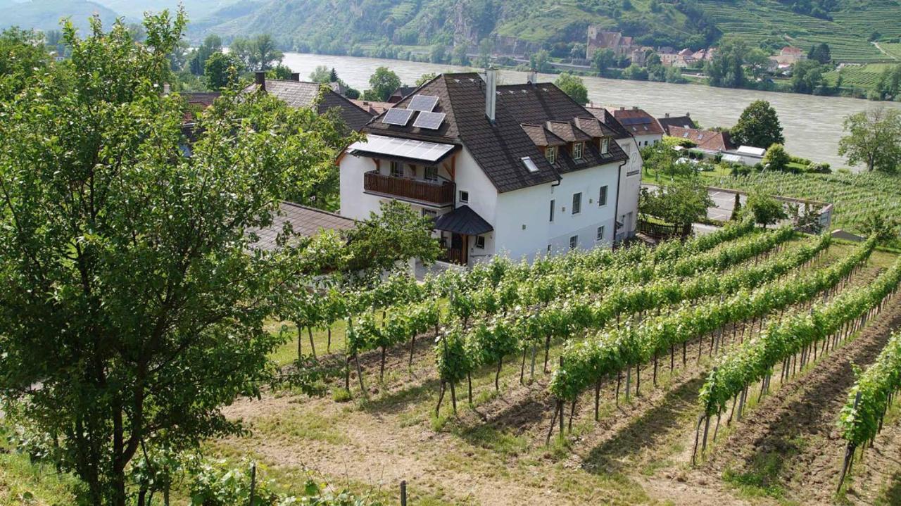 Weingut & Gaestezimmer Pammer Mitterarnsdorf Buitenkant foto