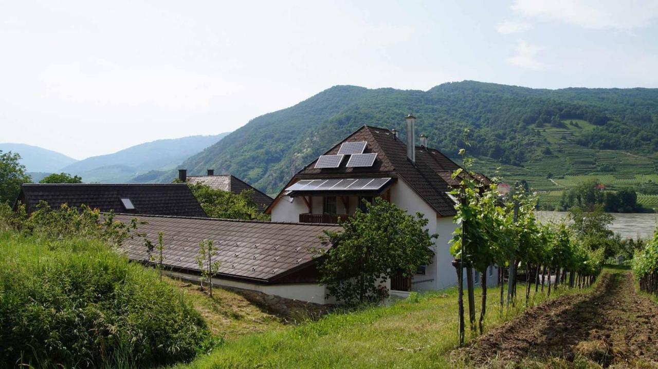 Weingut & Gaestezimmer Pammer Mitterarnsdorf Buitenkant foto