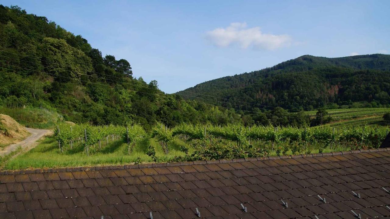 Weingut & Gaestezimmer Pammer Mitterarnsdorf Buitenkant foto
