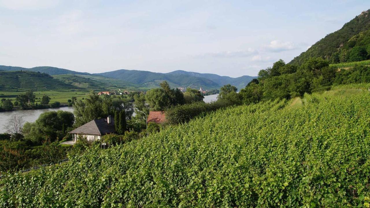 Weingut & Gaestezimmer Pammer Mitterarnsdorf Buitenkant foto